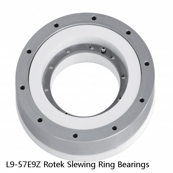 L9-57E9Z Rotek Slewing Ring Bearings