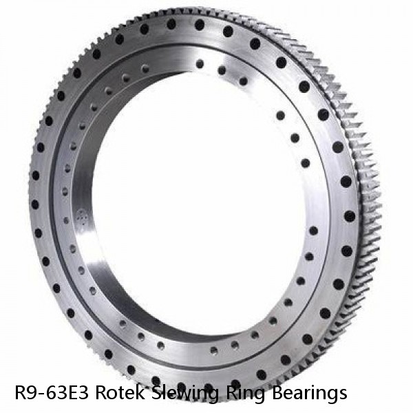 R9-63E3 Rotek Slewing Ring Bearings