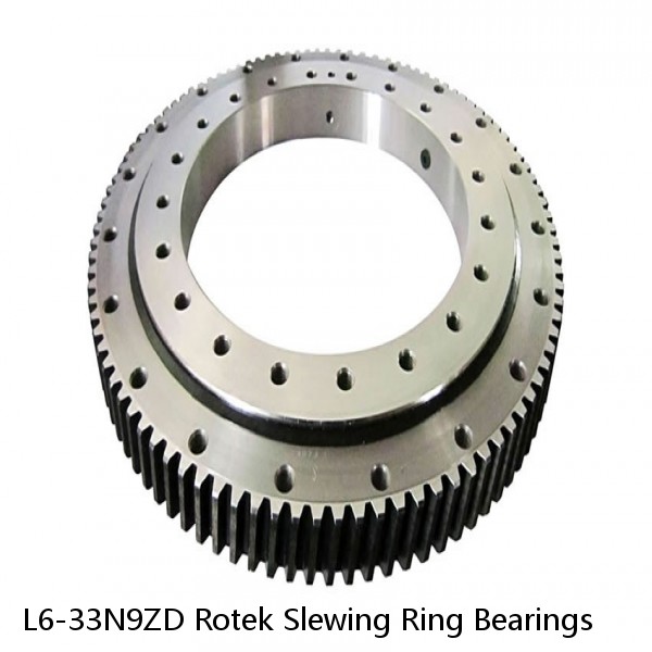 L6-33N9ZD Rotek Slewing Ring Bearings