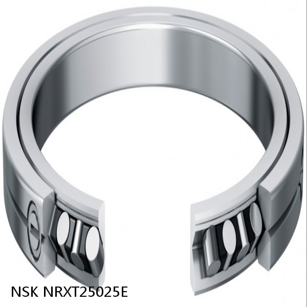 NRXT25025E NSK Crossed Roller Bearing