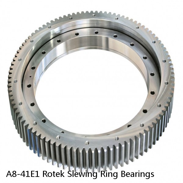 A8-41E1 Rotek Slewing Ring Bearings