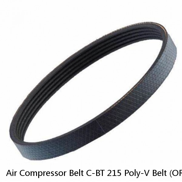 Air Compressor Belt C-BT 215 Poly-V Belt (ORB1001)