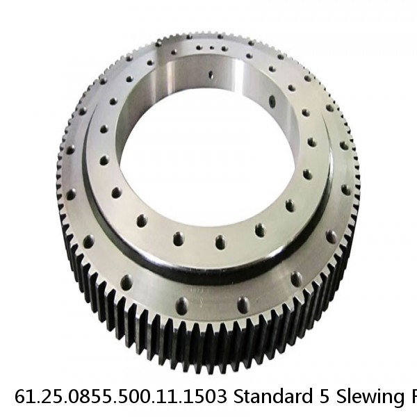 61.25.0855.500.11.1503 Standard 5 Slewing Ring Bearings