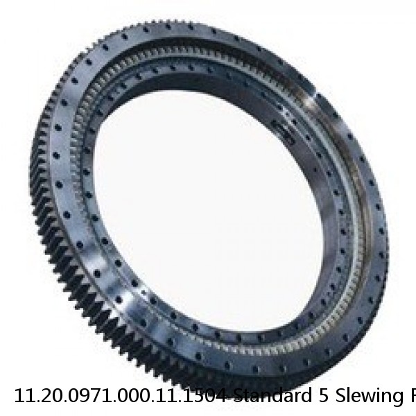 11.20.0971.000.11.1504 Standard 5 Slewing Ring Bearings