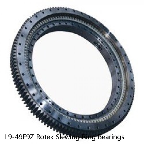 L9-49E9Z Rotek Slewing Ring Bearings