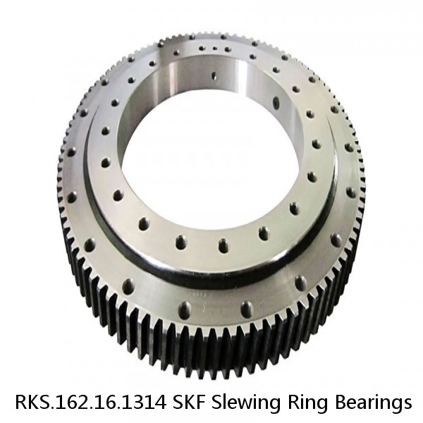 RKS.162.16.1314 SKF Slewing Ring Bearings