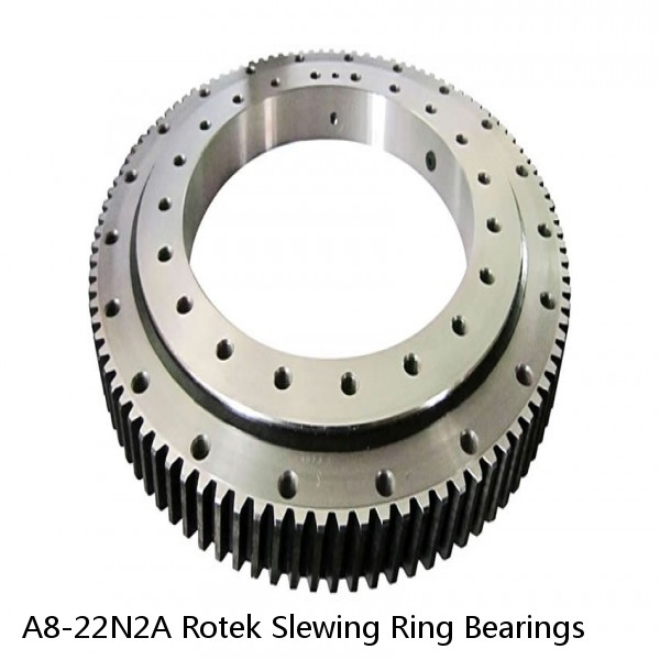 A8-22N2A Rotek Slewing Ring Bearings