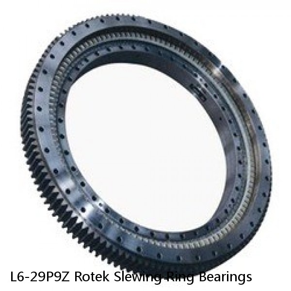 L6-29P9Z Rotek Slewing Ring Bearings