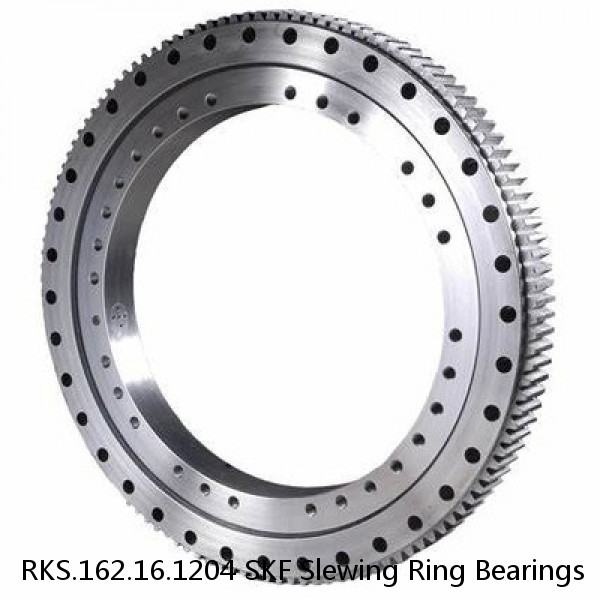 RKS.162.16.1204 SKF Slewing Ring Bearings