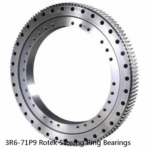 3R6-71P9 Rotek Slewing Ring Bearings