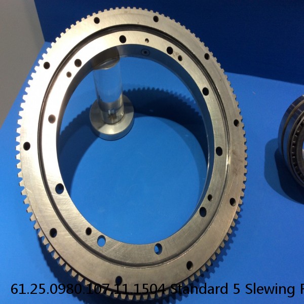 61.25.0980.107.11.1504 Standard 5 Slewing Ring Bearings