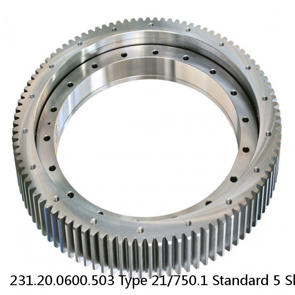 231.20.0600.503 Type 21/750.1 Standard 5 Slewing Ring Bearings