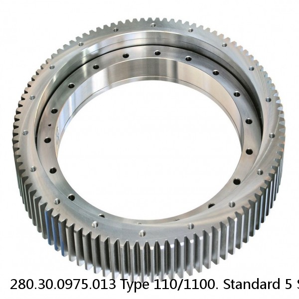 280.30.0975.013 Type 110/1100. Standard 5 Slewing Ring Bearings