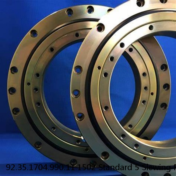 92.35.1704.990.11.1502 Standard 5 Slewing Ring Bearings