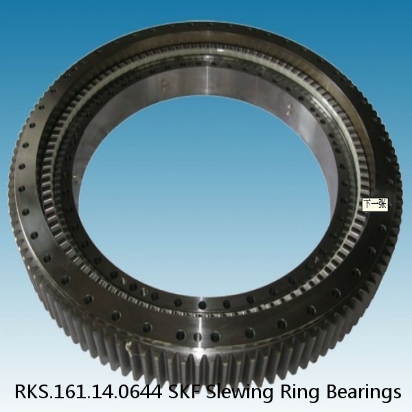 RKS.161.14.0644 SKF Slewing Ring Bearings