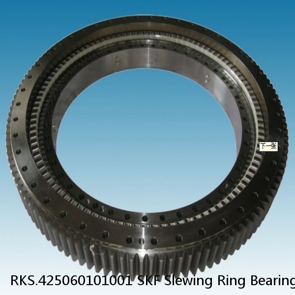 RKS.425060101001 SKF Slewing Ring Bearings