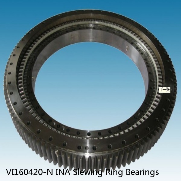 VI160420-N INA Slewing Ring Bearings