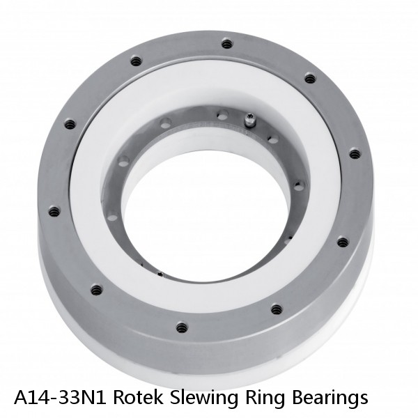 A14-33N1 Rotek Slewing Ring Bearings