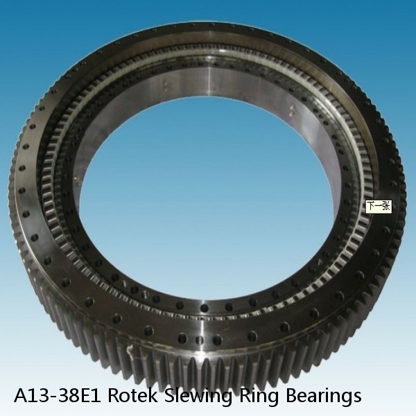 A13-38E1 Rotek Slewing Ring Bearings