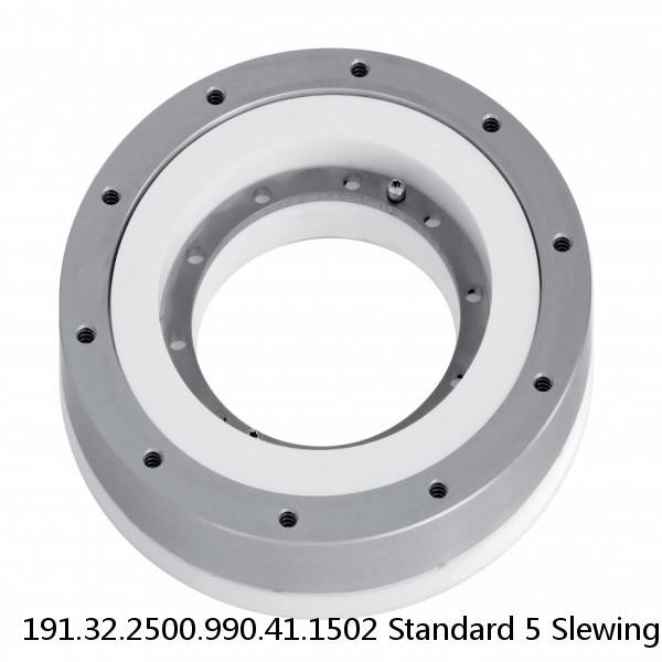 191.32.2500.990.41.1502 Standard 5 Slewing Ring Bearings