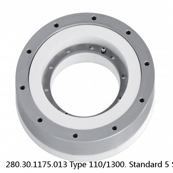 280.30.1175.013 Type 110/1300. Standard 5 Slewing Ring Bearings