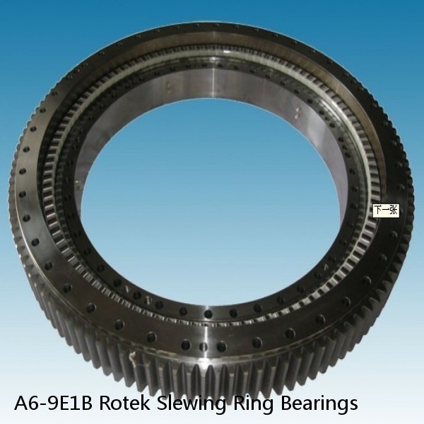 A6-9E1B Rotek Slewing Ring Bearings