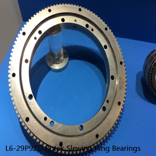 L6-29P9ZD Rotek Slewing Ring Bearings