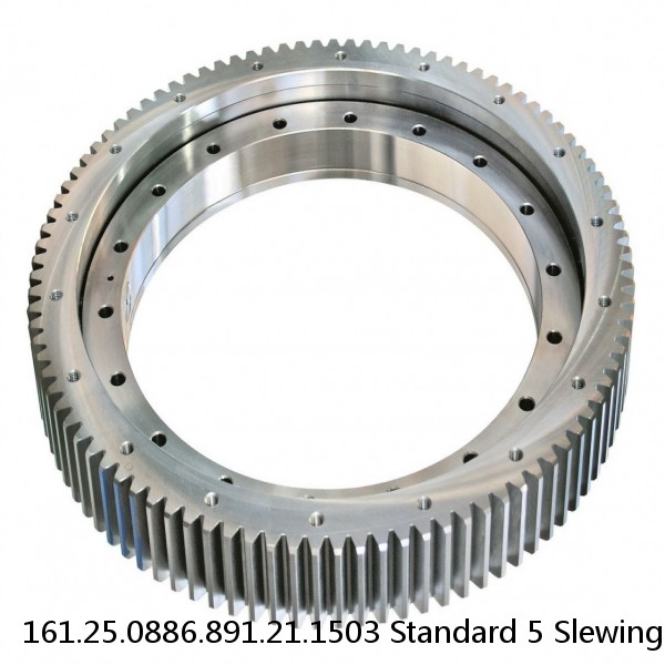 161.25.0886.891.21.1503 Standard 5 Slewing Ring Bearings