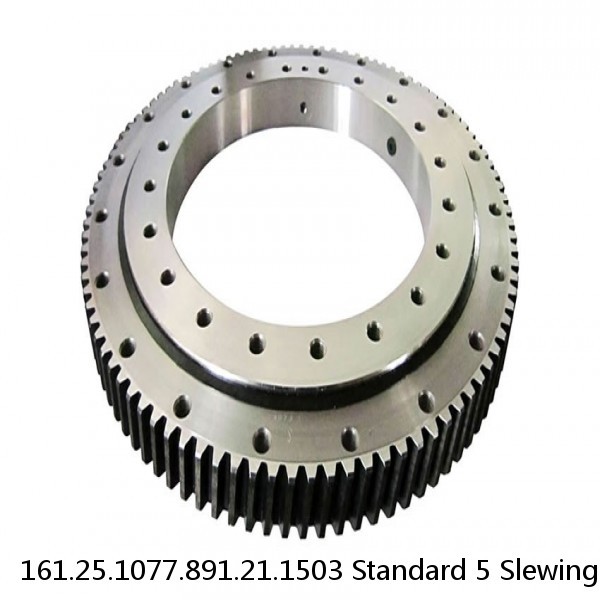 161.25.1077.891.21.1503 Standard 5 Slewing Ring Bearings