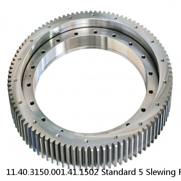 11.40.3150.001.41.1502 Standard 5 Slewing Ring Bearings