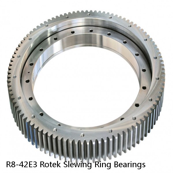 R8-42E3 Rotek Slewing Ring Bearings