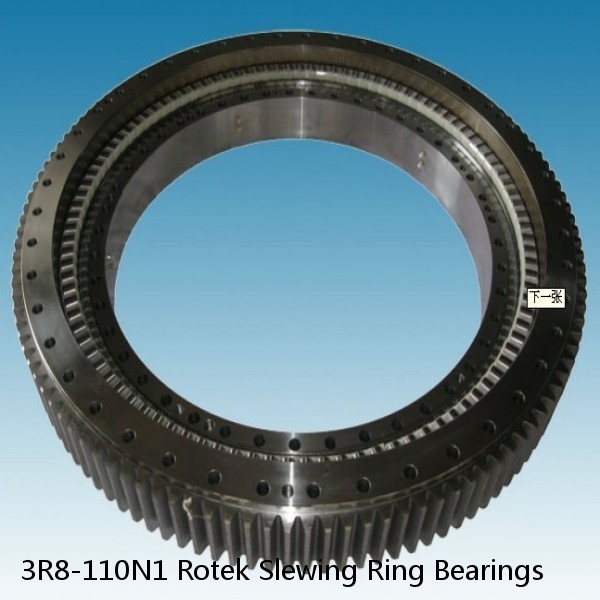 3R8-110N1 Rotek Slewing Ring Bearings