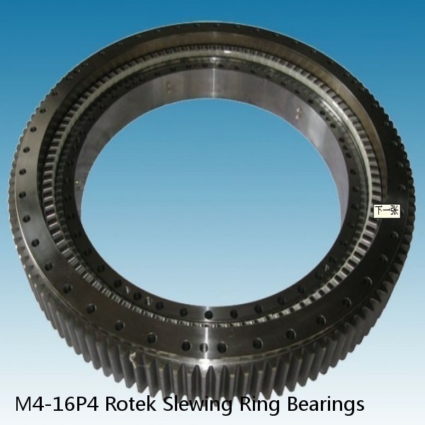 M4-16P4 Rotek Slewing Ring Bearings