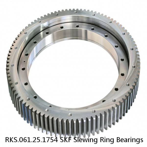 RKS.061.25.1754 SKF Slewing Ring Bearings