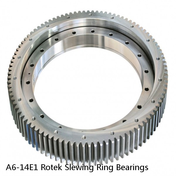 A6-14E1 Rotek Slewing Ring Bearings