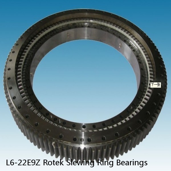 L6-22E9Z Rotek Slewing Ring Bearings