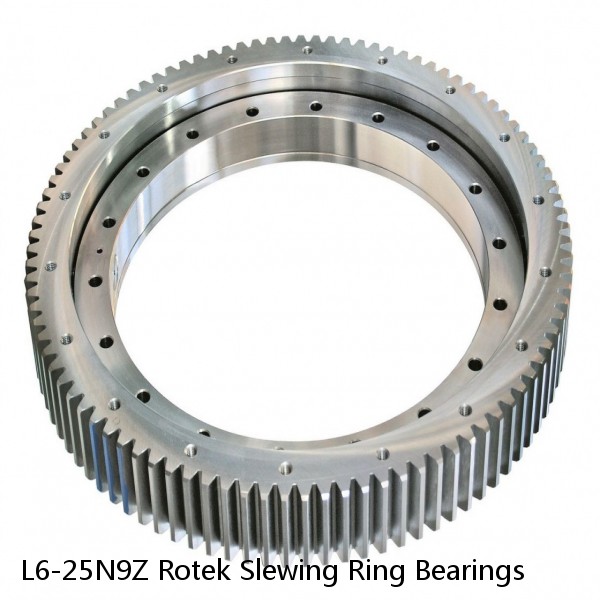 L6-25N9Z Rotek Slewing Ring Bearings