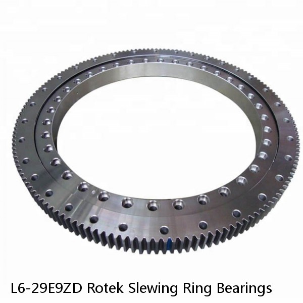 L6-29E9ZD Rotek Slewing Ring Bearings