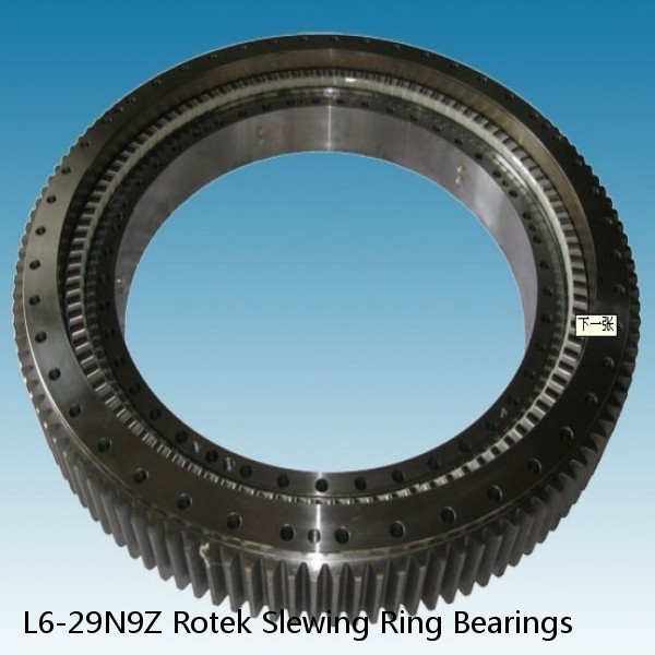 L6-29N9Z Rotek Slewing Ring Bearings