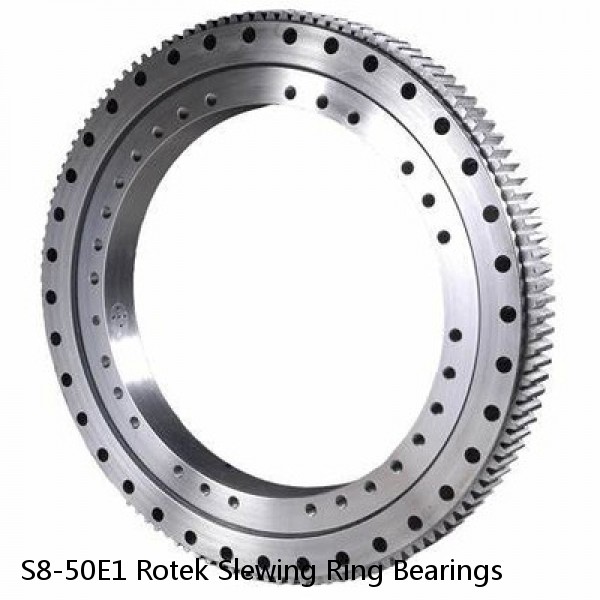 S8-50E1 Rotek Slewing Ring Bearings