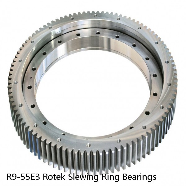 R9-55E3 Rotek Slewing Ring Bearings