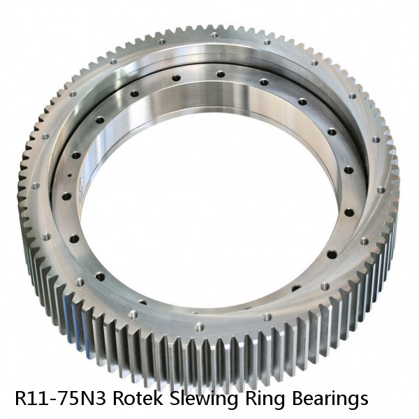 R11-75N3 Rotek Slewing Ring Bearings