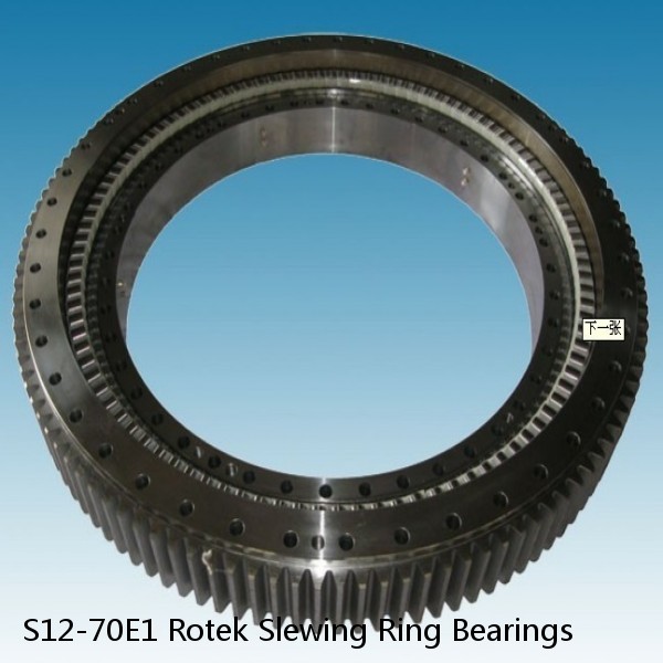 S12-70E1 Rotek Slewing Ring Bearings