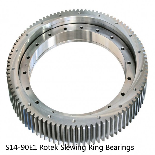 S14-90E1 Rotek Slewing Ring Bearings