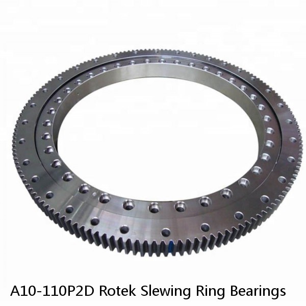 A10-110P2D Rotek Slewing Ring Bearings