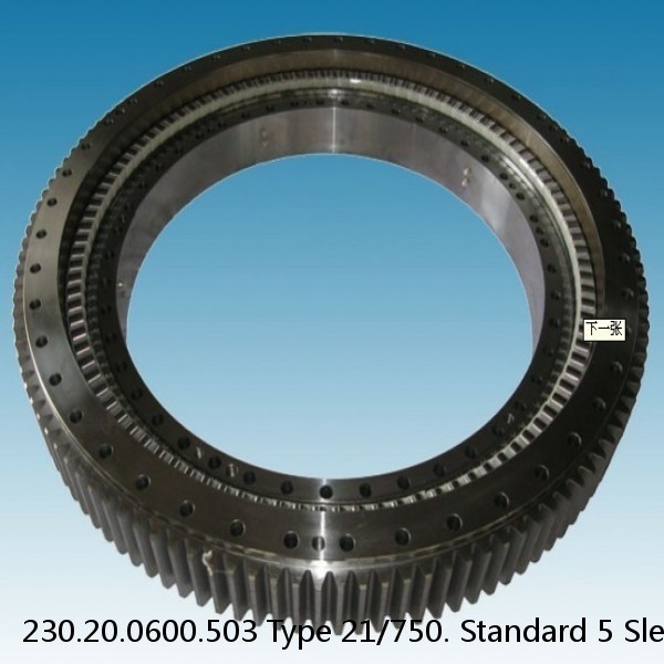 230.20.0600.503 Type 21/750. Standard 5 Slewing Ring Bearings