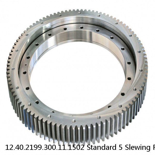 12.40.2199.300.11.1502 Standard 5 Slewing Ring Bearings