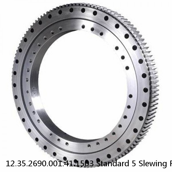 12.35.2690.001.41.1503 Standard 5 Slewing Ring Bearings