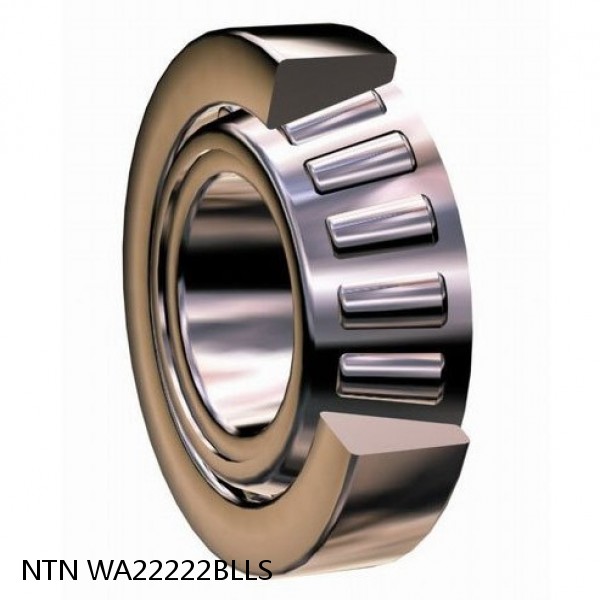 WA22222BLLS NTN Thrust Tapered Roller Bearing