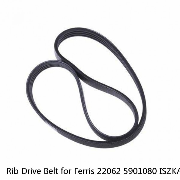 Rib Drive Belt for Ferris 22062 5901080 ISZKAV23 5901081 5901082 5901085 PCZ22K